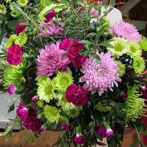 Meet your Posher, Princess